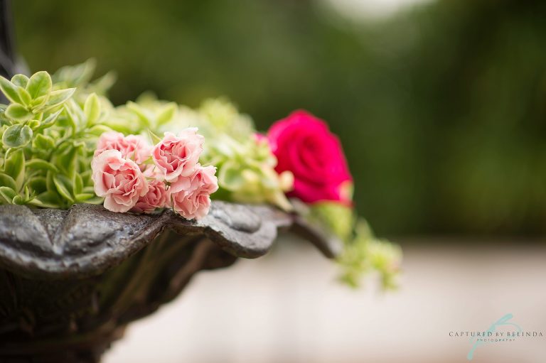 Maison and jardin wedding photographer