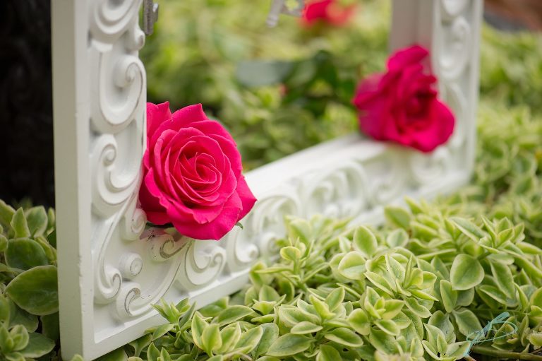 Maison and jardin wedding photographer