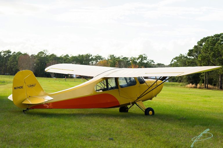 Airplane engagement session in field