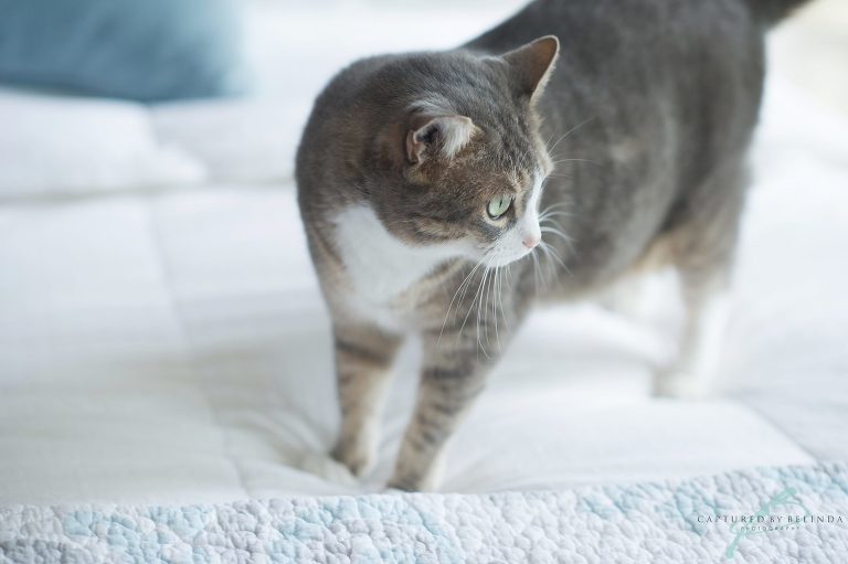 bridal details on wedding day